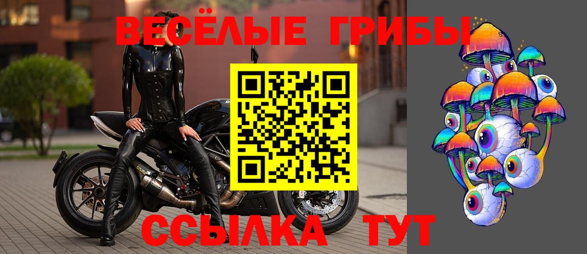 Псилоцибиновые грибы Psilocybine cubensis  Вход с VPN  Черкесск 